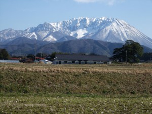 大山にも春が